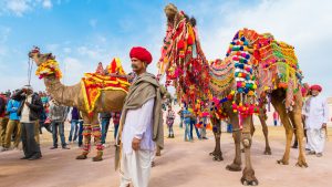 bikaner
