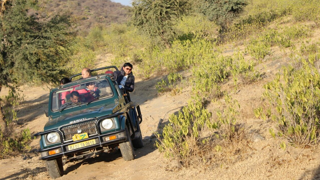 sariska-national-park