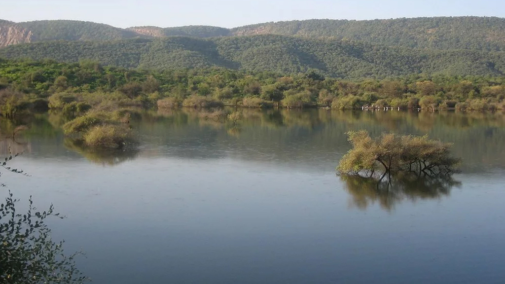 Sariska-Tiger-Reserve