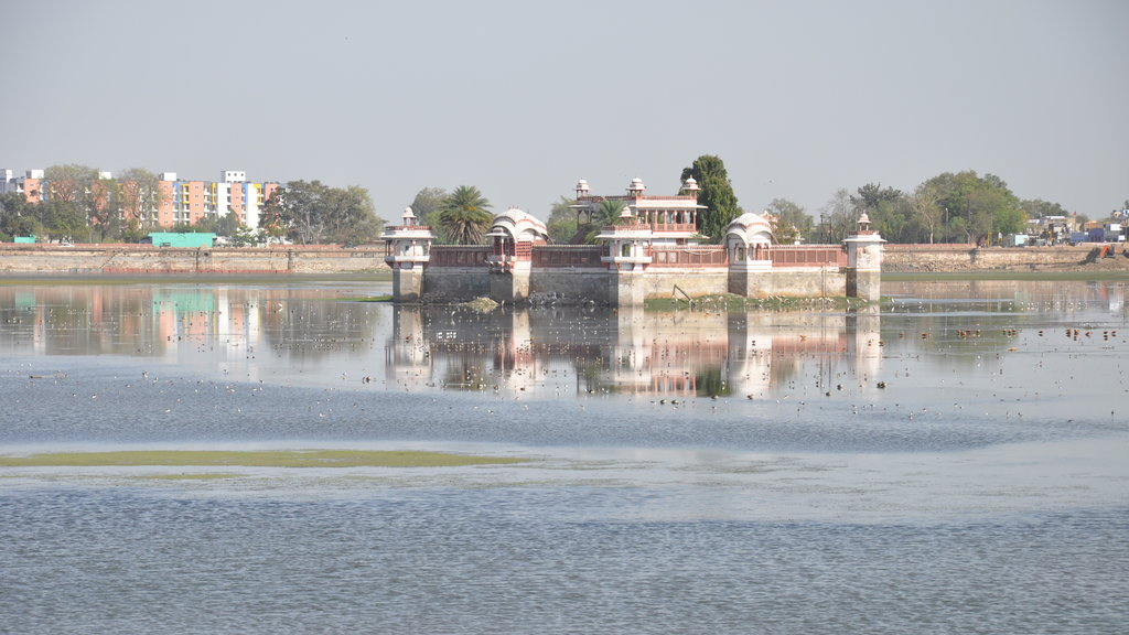 Take a stroll around Jal Mahal