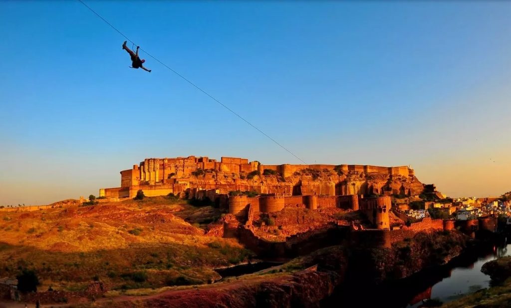 Flying Fox